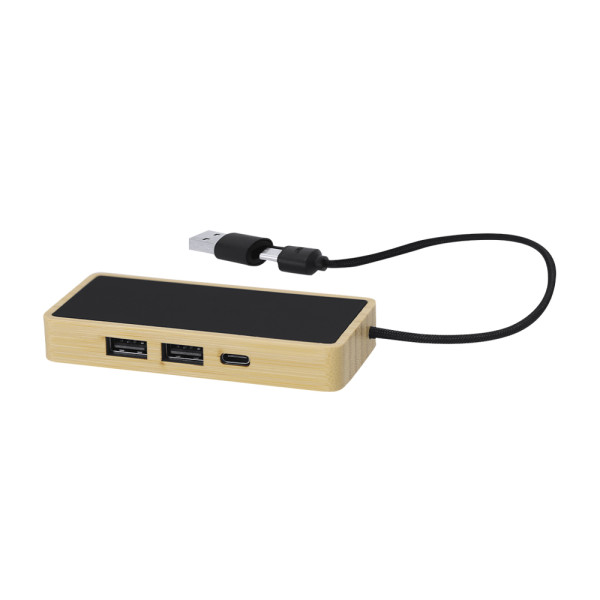 USB Hub Ginger